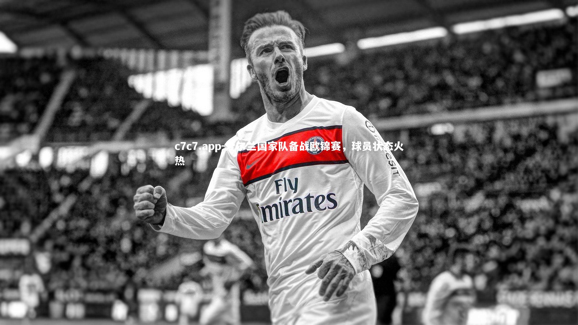 爱尔兰国家队备战欧锦赛，球员状态火热