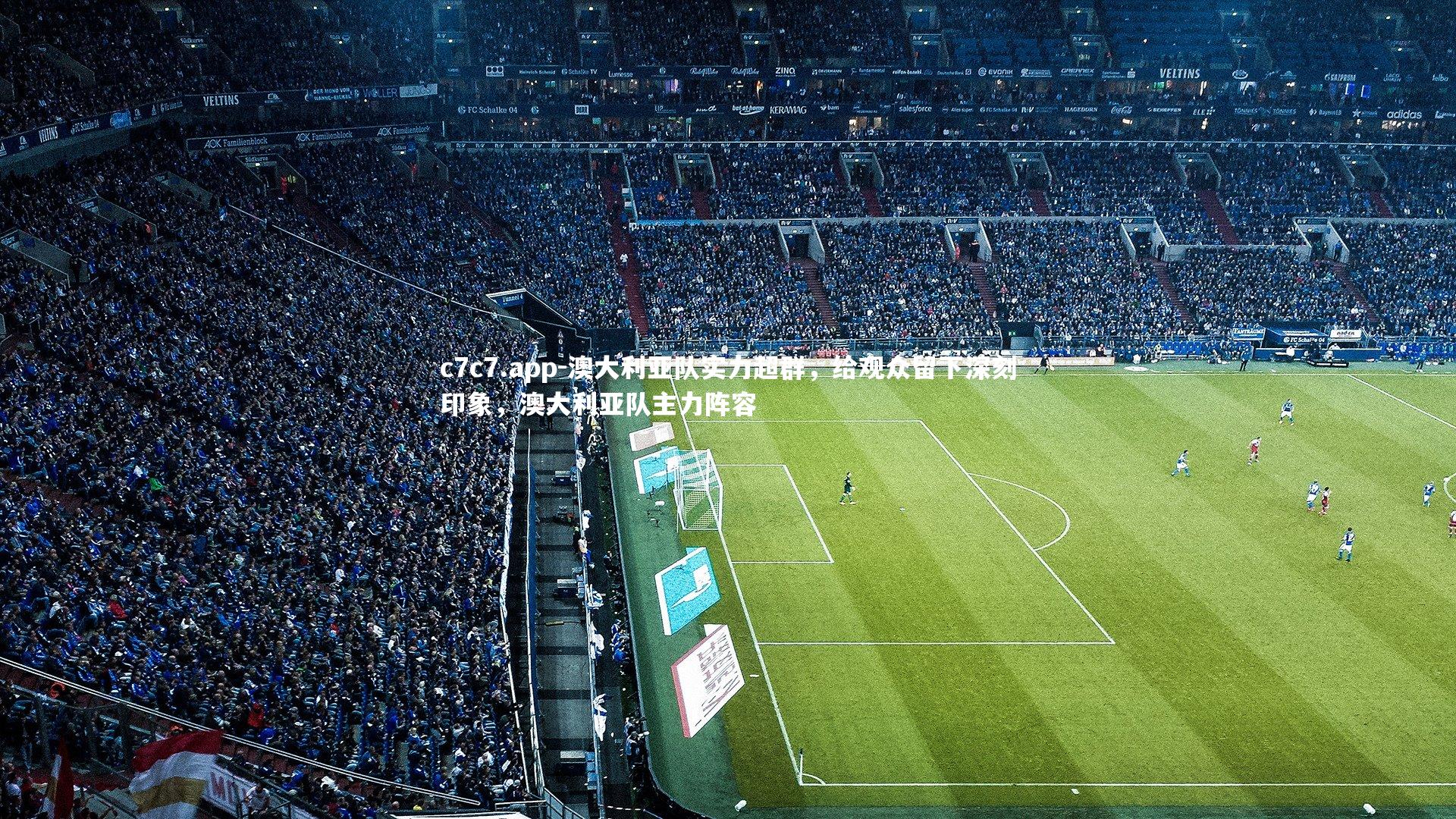 澳大利亚队实力超群，给观众留下深刻印象，澳大利亚队主力阵容