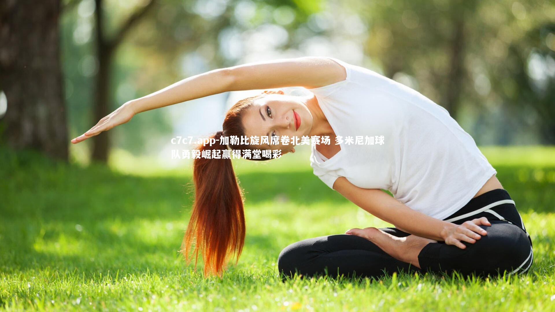 加勒比旋风席卷北美赛场 多米尼加球队勇毅崛起赢得满堂喝彩